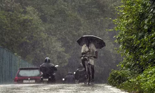 കേരളത്തില്‍ കാലവര്‍ഷം വീണ്ടും സജീവമാകുന്നു; അടുത്ത ഏഴ് ദിവസം വ്യാപക മഴയ്ക്ക് സാധ്യത: ഇന്ന് ഒന്‍പത് ജില്ലകളില്‍ യെല്ലോ അലര്‍ട്ട്