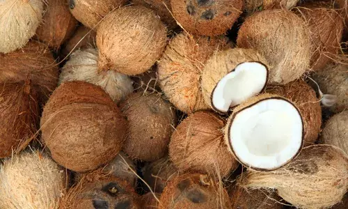 മലയാളികളുടെ അടുക്കളയെ എരിച്ച് വെളിച്ചെണ്ണ വില സര്‍വ്വകാല റെക്കോര്‍ഡില്‍; തേങ്ങവിലയും കുതിക്കുന്നു: കിലോയ്ക്ക് 80 രൂപ