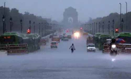 ഡല്‍ഹിയില്‍ അതിശക്തമായ മഴ; മണിക്കൂറില്‍ 80-100 കിലോമീറ്റര്‍ വേഗതയില്‍ കാറ്റും; പലയിടത്തും മരങ്ങള്‍ കടപുഴകി വീണ് ഗതാഗതം മണിക്കൂറോളം തടസ്സപ്പെട്ടു