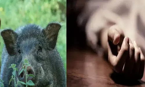 ഫോണിൽ വിളിച്ചിട്ട് കിട്ടുന്നില്ല; വീട്ടുകാരുടെ തിരച്ചിലിൽ കണ്ടത് 63-കാരന്റെ മൃതദേഹം; ആലപ്പുഴയിൽ പന്നിക്കെണിയിൽ നിന്ന് ഷോക്കേറ്റ് കർഷകന് ദാരുണാന്ത്യം