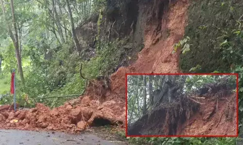 മൂർക്കാട്ടിപ്പടി വെള്ളൂർ റോഡിൽ മണ്ണിടിച്ചിൽ ഭീഷണി; മരങ്ങൾ വെട്ടി മാറ്റണമെന്ന കളക്ടറുടെ ഉത്തരവിന് പുല്ലുവില; റോഡിലേക്ക് വീണു കിടക്കുന്ന കല്ലും മണ്ണും നീക്കണമെന്ന ആവശ്യവുമായി നാട്ടുകാർ