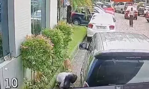 കണ്ണൂര്‍ നഗരത്തില്‍ അന്‍പതോളം പേരെ കടിച്ചു പരുക്കേല്‍പ്പിച്ച തെരുവ് നായ ചത്ത നിലയില്‍; സ്രവ പരിശോധന നടത്തും; പരുക്കേറ്റവര്‍ ജില്ലാ ആശുപത്രിയില്‍ ചികിത്സയില്‍