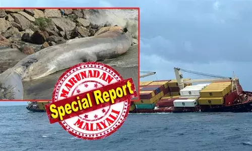 ഇന്ധനം ഊറ്റിയെടുക്കാന്‍ കഴിയാത്തത് ആശങ്ക; കേന്ദ്ര ഇടപെടലില്‍ കമ്പനിയെ മാറ്റി കപ്പല്‍ കമ്പനി; ക്യാപ്ടന്റേയും പ്രധാന ജീവനക്കാരുടേയും പാസ്‌പോര്‍ട്ട് പിടിച്ചെടുത്ത് കൊച്ചി പോലീസ്; കടല്‍ വെള്ളത്തില്‍ ഹാനികരമായതൊന്നും ഇല്ലെന്ന് പരിശോധനാ റിപ്പോര്‍ട്ട്; എന്നിട്ടും തിമിംഗലങ്ങള്‍ ചത്തു പൊങ്ങുന്നു; കേരള തീരത്ത് പാരിസ്ഥിതിക ആശങ്ക അതിശക്തം