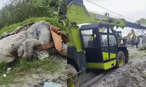 പരിസരം മുഴുവൻ ദുർഗന്ധം; തീരം കാണാൻ എത്തിയവർ മൂക്ക് പൊത്തി; പിന്നാലെ ആ ഭീകരമായ കാഴ്ച കണ്ട് അമ്പരപ്പ്; അമ്പലപ്പുഴയിൽ സംഭവിച്ചത്!