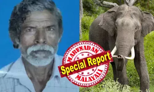 പുലര്‍ച്ചെ മൂന്നരയ്ക്ക് വീട്ടിന് പുറത്തേക്ക് മൂത്രമൊഴിക്കാന്‍ ഇറങ്ങിയ കുമാരന്‍; മുന്നില്‍ നിന്ന കാട്ടാന ആ 61കാരനെ ആക്രമിച്ച് കൊ്ന്നത് അതിക്രൂരമായി; പാലക്കാട്ട് ഒരു മാസത്തിനിടെ മൂന്നു കാട്ടാന ആക്രമണത്തില്‍ പൊലിഞ്ഞത് മൂന്നു ജീവനുകള്‍; ഏഴ് കൊല്ലം കൊണ്ട് മുണ്ടൂരിന് നഷ്ടം അഞ്ചു പേര്‍; തകര്‍ന്ന സോളാര്‍ വേലികള്‍ ആന വഴികളായി; കാട്ടന ആക്രമണത്തില്‍ വീണ്ടും മരണം