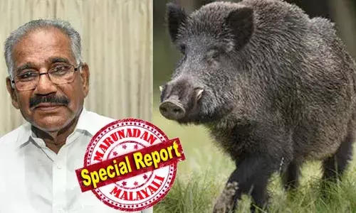 1972-ലെ വന്യജീവി സംരക്ഷണ നിയമം ഭേദഗതി ചെയ്യണം; ആറ് മാസത്തേക്കെങ്കിലും കാട്ടുപന്നിയെ ക്ഷുദ്രജീവിയായി പ്രഖ്യാപിക്കണം; കേന്ദ്ര സര്‍ക്കാറിന് മുന്നില്‍ ആവശ്യവുമായി സംസ്ഥാന വനംവകുപ്പ്; കേരളം നേരിടുന്ന ഗുരുതരമായ വന്യജീവി പ്രശ്നങ്ങള്‍ വിവരിച്ചു കൊണ്ട് വനംമന്ത്രിയുടെ കത്ത്