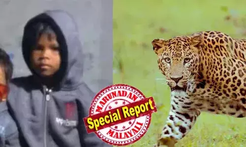 വാല്‍പ്പാറയില്‍ പുലി പിടിച്ച നാലുവയസുകാരിയുടെ മൃതദേഹം കണ്ടെത്തി; പകുതി ഭക്ഷിച്ച നിലയില്‍ മൃതദേഹം കണ്ടെത്തിയത് ലയത്തില്‍ നിന്ന് 300 മീറ്റര്‍ അകലെ തേയിലക്കാട്ടില്‍; പോസ്റ്റുമോര്‍ട്ടം വാല്‍പ്പാറയില്‍ തന്നെ നടത്തും; കുടുംബത്തിന് പത്ത് ലക്ഷം ധനസഹായം പ്രഖ്യാപിച്ച് തമിഴ്‌നാട് സര്‍ക്കാര്‍