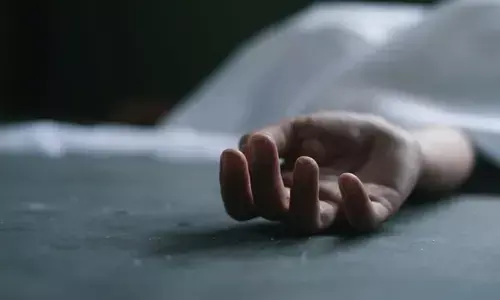 പോസ്റ്റിലിരുന്ന് ജോലി ചെയ്യുന്നതിനിടെ അപകടം; ഷോക്കേറ്റ് കെഎസ്ഇബി ജീവനക്കാരന് ദാരുണാന്ത്യം; സംഭവം പാലക്കാട്