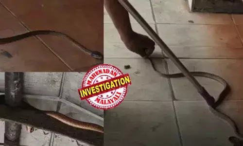 തലയ്ക്കു മുകളിലായി പാമ്പിനെ കണ്ടതോടെ പുല്‍പ്പള്ളി ബസ് സ്റ്റാന്‍ഡിലെത്തിയവര്‍ ചിതറിയോടി; യാത്രക്കാരെ പരിഭ്രാന്തരാക്കിയ പാമ്പിനെ പിടികൂടിയത് ഏറെ പണിപ്പെട്ട്; പരാതിയുമായി യാത്രക്കാരും ബസ് ജീവനക്കാരും വ്യാപാരികളും