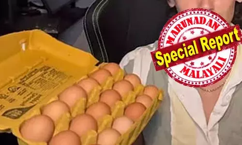 ഒരുദിവസം മുപ്പത് മുട്ട വച്ച് അഞ്ച് ദിവസം മുട്ട മാത്രം കഴിച്ച് യുവാവ്; 150 മുട്ട അകത്ത് ചെന്നപ്പോള്‍ ശരീരത്തില്‍ സംഭവിച്ചത് അവിശ്വസനീയം: മുട്ട കഴിക്കുന്നവരും ഒഴിവാക്കുന്നവരും അറിയാന്‍