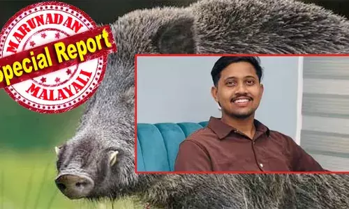 ബാപ്പയും സഹോദരങ്ങളുമുള്ള ദുബായിലേക്ക് ഉമ്മയെ യാത്രയാക്കാന്‍ കോയമ്പത്തൂരില്‍ നിന്നും നാട്ടിലേക്ക് വന്ന നഴ്‌സിംഗ് വിദ്യാര്‍ഥി; കാട്ടുപന്നി എടുത്തു ചാടിയപ്പോള്‍ പൊലിഞ്ഞത് മിടുമിടുക്കന്റെ ജീവിതം; ഗള്‍ഫിലുള്ള അച്ഛന്‍ നാട്ടിലെത്തിയത് കരഞ്ഞ് തളര്‍ന്ന്; ആ ഉമ്മയേയും ആര്‍ക്കും സമാധാനിപ്പിക്കാന്‍ കഴിയുന്നില്ല; ഇര്‍ഷാദിന്റെ അപകട മരണം കുന്നത്തുപീടികയില്‍ നൊമ്പരമാകുമ്പോള്‍; കാട്ടുപന്നികള്‍ ക്ഷുദ്രജീവിയാകേണ്ടേ?