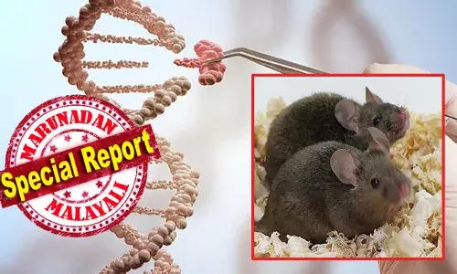 രണ്ട് അച്ഛന്മാര്‍ക്ക് ഒരു കുഞ്ഞ് ജനിക്കാനുള്ള സാങ്കേതി വിദ്യ കണ്ടെത്തി ചൈന; ജീന്‍ എഡിറ്റിങ്ങിലൂടെ രണ്ടു തന്തയുള്ള എലിയെ സൃഷ്ടിച്ചു തുടക്കം; സ്വവര്‍ഗ സ്‌നേഹികള്‍ക്ക് ഇനി കുഞ്ഞുങ്ങളെ സൃഷ്ടിച്ച് വളര്‍ത്താം