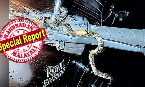 ഹെല്‍മറ്റിനുള്ളില്‍ മാത്രമല്ല ബൈക്കിന്റെ പിടിയിലും പാമ്പ് ഒളിച്ചിരിക്കും; ബൈക്കില്‍ പാമ്പ് കയറിയത് അറിയാതെ കിലോമീറ്ററുകള്‍ സഞ്ചരിച്ച യുവാവ് അപ്രതീക്ഷിതമായി ആ അതിഥിയെ കണ്ട് ഞെട്ടി; വളവഴപ്പന്‍ പാമ്പെന്ന മോതിര വളയന്‍ ഇഴഞ്ഞു പോയതും അതിവേഗം; അടിമാലി അമ്പലപ്പടിയിലെ ബിനീഷ് രക്ഷപ്പെട്ട കഥ