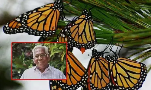 ചിന്താശകലങ്ങള്‍: മുറിവുണങ്ങാനായി കാത്തിരിക്കാം?