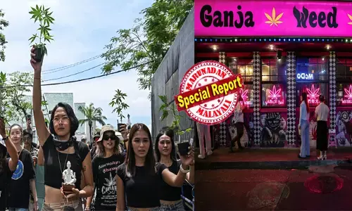 കൗമാരക്കാർ അടക്കം നടക്കുന്നത് ലഹരി ബോധത്തിൽ; ഇതൊക്കെ തെറ്റ്..നമ്മുടെ സംസ്‌കാരത്തിന് തന്നെ നാണക്കേട്..!; ഇനി കഞ്ചാവ് തേടി ഈ രാജ്യത്തോട്ട് വിമാനം കയറേണ്ട; മൂന്ന് വർഷത്തിന് ശേഷം വീണ്ടും നിരോധനം; പിടിക്കപ്പെട്ടാൽ നിങ്ങളെ കാത്തിരിക്കുന്നത് വലിയ ആപത്ത്