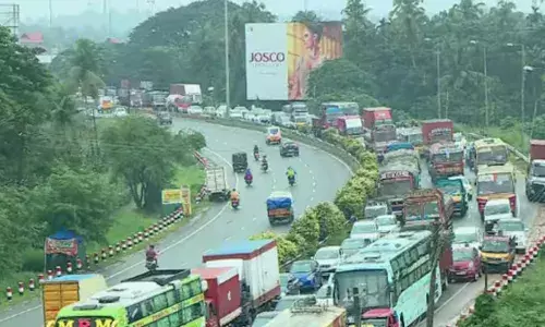ദേശീയപാതയിൽ കൂറ്റൻ മരം കടപുഴകി വീണു; ട്രാഫിക്കിൽ പെട്ട് വലഞ്ഞ് യാത്രക്കാർ; ഗതാഗതം പുനസ്ഥാപിക്കുന്നു