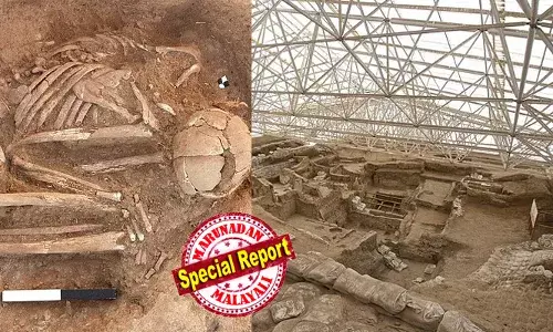 പുരുഷന്‍മാര്‍ വിവാഹം കഴിച്ച് താമസിച്ചത് ഭാര്യമാരുടെ വീടുകളില്‍;  സ്ത്രീകളുടെ ശവകുടീരങ്ങളില്‍ വിലയേറിയ ആഭരണങ്ങള്‍; ഇവിടം ഭരിച്ചിരുന്നത് സ്ത്രീകള്‍;  തെക്കന്‍ തുര്‍ക്കിയില്‍ കണ്ടെത്തിയ ഒമ്പതിനായിരം വര്‍ഷം പഴക്കമുള്ള നാഗരിക സംസ്‌ക്കാരത്തിന്റെ അവശേഷിപ്പുകള്‍ പറയുന്നത്