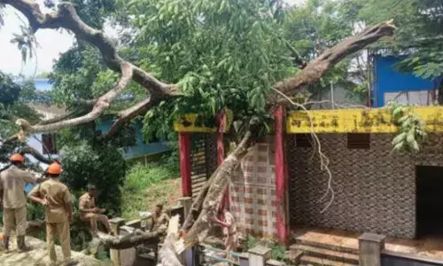 ക്ലാസ് ടൈമിൽ പുറത്ത് ഉഗ്ര ശബ്ദം; പേടിച്ച് നിലവിളിച്ച് കുട്ടികൾ; പരിഭ്രാന്തിയിൽ അധ്യാപകർ ഓടിയെത്തി; സ്കൂൾ കെട്ടിടത്തിന് മുകളിലൂടെ കൂറ്റൻ മരം വീണ് അപകടം; എല്ലാവരും രക്ഷപ്പെട്ടത് ഭാഗ്യം കൊണ്ട്