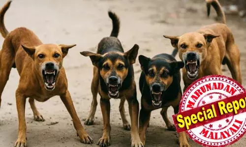 സംസ്ഥാനത്ത് അഞ്ച് മാസത്തിനുള്ളില്‍ തെരുവ് നായയുടെ കടിയേറ്റത് 1,65,136 പേര്‍ക്ക്; 17 പേര്‍ മരിച്ചു; വയനാട് ജില്ലയില്‍ ഏറ്റവും കുറവ് കേസുകള്‍; നായ്ക്കളുടെ എണ്ണം വര്‍ധിക്കാന്‍ കാരണം അവയ്ക്ക് ഭക്ഷണം നല്‍കുന്നത് കൊണ്ട്; വാക്‌സിനേഷന് ഗോവയില്‍ നിന്ന് മിഷന്‍ റാബിസ് എത്തുന്നു