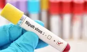 പാലക്കാട് ജില്ലയില്‍ നിപ ബാധിച്ച് ചികിത്സയിലുള്ള വ്യക്തിയുടെ നില ഗുരുതരാവസ്ഥയില്‍; ആന്റി ബോഡി ചികില്‍സയില്‍ പ്രതീക്ഷ