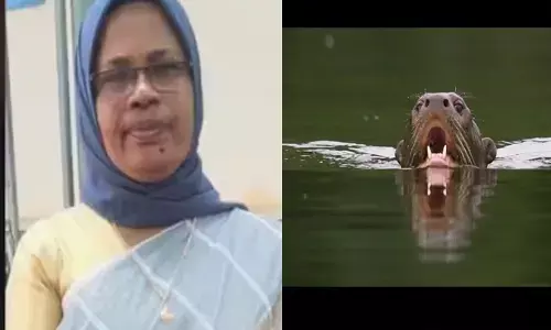 ആറ്റിൽ തുണി കഴുകുന്നതിനിടെ നീർനായയുടെ ആക്രമണം; കടിയേറ്റ വീട്ടമ്മ കുഴഞ്ഞു വീണ് മരിച്ചു; സംഭവം കോട്ടയത്ത്