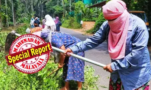 തോടുകളുടെ വശങ്ങളിലായുള്ള ചെടികൾ വെട്ടിനശിപ്പിക്കുന്നത് ആപത്ത്; മഴക്കാലത്തെ തൊഴിലുറപ്പ് പ്രവർത്തനങ്ങൾ മണ്ണിന്റെ ബലക്ഷയത്തിന് കാരണമാകുന്നു; വെള്ളത്തിന്റെ ഒഴുക്കിന്റെ ശക്തി മണ്ണിലിടിച്ചിലിന് കാരണമാകുന്നു; പരിസ്ഥിതി പ്രശ്‌നങ്ങൾ ഒഴിവാക്കാൻ തോട് വൃത്തിയാക്കൽ വേനൽക്കാലത്തേക്ക് മാറ്റണമെന്ന് ആവശ്യം