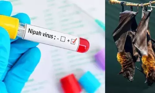 ചുമ, ശ്വാസതടസ്സം, ക്ഷീണം എന്നിവ പ്രധാന ലക്ഷണം; പുറത്തിറങ്ങുമ്പോൾ മുൻകരുതലുകൾ കൃത്യമായി പാലിക്കണം; നിപ ഭീതിയിൽ വയനാട്ടിലും ജാഗ്രത; മുന്നറിയിപ്പുമായി മെഡിക്കൽ ഓഫീസര്‍