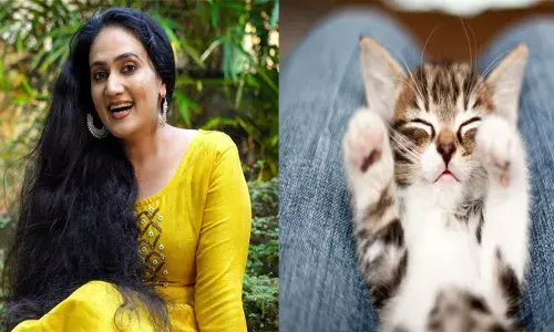 വീട്ടിലേക്ക് പൂച്ച വന്ന് കയറുന്നതും പ്രസവിക്കുന്നതുമൊക്കെ ഐശ്വര്യമാണ്; ഞാൻ അങ്ങനെ കേട്ടിട്ടുണ്ട്..; ദൃഷ്ടി ദോഷം പോലുള്ള കാര്യങ്ങൾ‌ വരില്ല; മനസ്സ് തുറന്ന് അനു ജോസഫ്