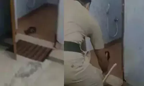 പരിയാരം മെഡിക്കല്‍ കോളേജ് കാര്‍ഡിയോളജി വിഭാഗത്തില്‍ മൂര്‍ഖന്‍ പാമ്പ്;  ജീവനക്കാരെത്തി പാമ്പിനെ പിടുകൂടി