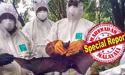 മരിച്ച വയോധികന്‍ കൂടുതലും യാത്ര ചെയ്തത് കെ എസ് ആര്‍ ടി സി ബസില്‍; പേരക്കുട്ടികള്‍ പഠിക്കുന്ന സ്‌കൂള്‍ താല്‍ക്കാലികമായി അടച്ചു; വൈറസിന്റെ ഉറവിടം ഇനിയും കണ്ടെത്താന്‍ കഴിയാത്തത് ആശങ്ക; പാണ്ടിക്കാട്ടെ 14കാരന് എങ്ങനെ നിപ്പ ബാധിച്ചെന്നത് ഇന്നും അജ്ഞാതം; കേന്ദ്ര സംഘം കേരളത്തില്‍