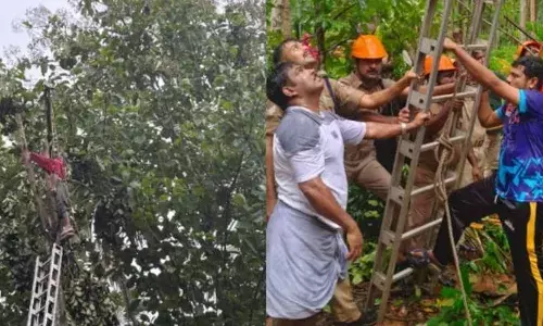 മരം മുറിക്കാനായി കയറി; തിരികെ ഇറങ്ങുമ്പോൾ ഷര്‍ട്ട് മരക്കൊമ്പില്‍ കൊളുത്തിയതോടെ മുകളിൽ കുടുങ്ങി; 56കാരനെ രക്ഷിച്ച് അഗ്നിരക്ഷാ സേന