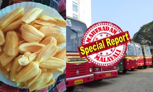 നല്ല മധുരമുള്ള പഴങ്ങള്‍ പഴക്കം മൂലം പുളിച്ചാല്‍ അതില്‍ മദ്യത്തിന്റെ അംശം കണ്ടെത്താന്‍ കഴിയും; മദ്യപിക്കാതെ ബ്രത്തലൈസര്‍ പരിശോധനയില്‍ കുടുങ്ങി മൂന്ന് കെഎസ്ആര്‍ടിസി ഡ്രൈവര്‍മാര്‍; ഫിറ്റാക്കിയത് തേന്‍ വരിക്ക