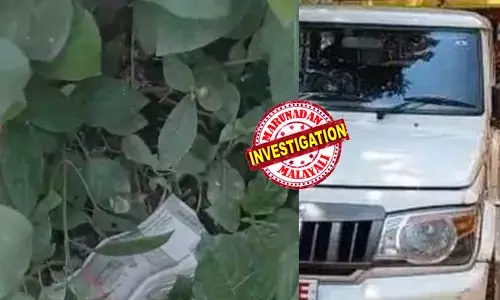 നോട്ടുകെട്ട് പുറത്തേക്ക് വലിച്ചെറിഞ്ഞ് ആര്‍.ടി.ഒ ഉദ്യോഗസ്ഥര്‍; കുറ്റിച്ചെടികള്‍ക്കിടയില്‍ നിന്ന് തപ്പിയെടുത്ത് വിജിലന്‍സ്; മിന്നല്‍ പരിശോധനയില്‍ കണ്ടെത്തിയത് വ്യാപക ക്രമക്കേടുകള്‍