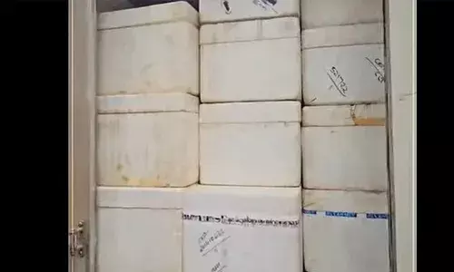 നല്ല മീനാ.. ഒന്ന് നോക്കീട്ട് പോ .. ആയിക്കോട്ടേന്ന് ഞങ്ങളും; തെര്‍മോക്കോള്‍ പെട്ടിയില്‍ കഞ്ചാവ് ഇട്ട് അതിന്റെ മുകളില്‍ മീന്‍; രണ്ട് പേര്‍ പിടിയില്‍