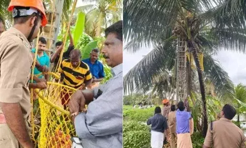 കരിക്കിടാൻ തെങ്ങില്‍ കയറി; ഏറെ നേരമായിട്ടും കാണാനില്ലാത്തതിനാൽ തിരച്ചിൽ; യുവാവ് തെങ്ങിന്‍റെ മുകളിൽ മരിച്ച നിലയിൽ; മൃതദേഹം ഫയർഫോഴ്സെത്തി താഴെയിറക്കി