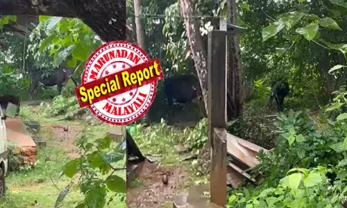 കോരിച്ചൊരിയുന്ന മഴയിൽ ഒരു ദയനീയ നോട്ടം; മൂക്കുകയറിട്ടുള്ള ആ തലയാട്ടലിൽ തന്നെ എല്ലാം വ്യക്തം; കഴിഞ്ഞ ആറുമാസമായി ഷിറ്റിട്ട വീടിന് സമീപം ഒറ്റപ്പെട്ട അവസ്ഥയിൽ മിണ്ടാപ്രാണി; ഉടമ തിരിഞ്ഞുനോക്കുന്നില്ലെന്നും പരാതി; ചങ്ക് തകരുന്ന കാഴ്ചയെന്ന് നാട്ടുകാർ; ഈ അനാഥനെ ഇനിയാര് സംരക്ഷിക്കും!