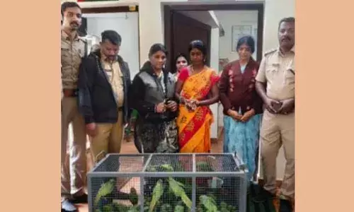 തമിഴ്‌നാട്ടില്‍ നിന്ന് കൂട്ടത്തോടെ തത്തകളെ എത്തിച്ച് വില്‍പ്പന നടത്താന്‍ ശ്രമം; മൂന്ന് പേര്‍ പിടിയില്‍