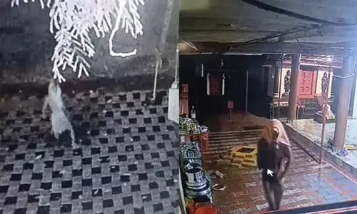 മോഷണത്തിതിനിടെ തെന്നിവീണപ്പോൾ സിസിടിവി ശ്രദ്ധയിൽപ്പെട്ടു; പിന്നാലെ ഉടുമുണ്ടഴിച്ച് മുഖം മറച്ച് നഗ്നനായി മോഷണം തുടർന്നു; ക്ഷേത്രത്തിൽ കവർച്ച നടത്തിയ പ്രതിക്കായി അന്വേഷണം