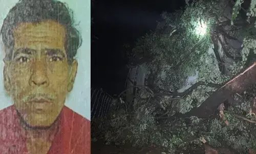 കനത്ത കാറ്റില്‍ വീട്ടിലേക്ക് മരം വീണു; വയോധികന് ദാരുണാന്ത്യം
