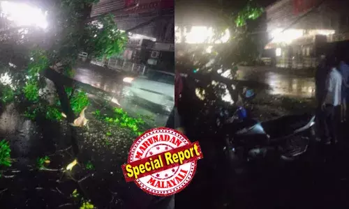 സംസ്ഥാനത്ത് കനത്ത നാശംവിതച്ച് മഴയും മിന്നല്‍ ചുഴലിയും; നിരവധി വീടുകള്‍ നിലംപൊത്തി;  കണ്ണൂരില്‍ വീടിന് മുകളില്‍ മരംവീണ് ഗൃഹനാഥന്‍ മരിച്ചു; വൈദ്യുതി തൂണുകള്‍ തകര്‍ന്നു; ട്രാക്കില്‍ മരംവീണു; വ്യാപക നാശനഷ്ടം