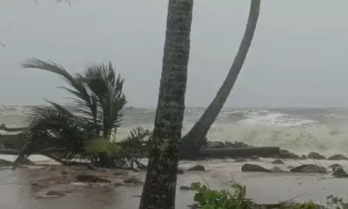 വാടാനപ്പള്ളി ബീച്ചിൽ കടലാക്രമണം അതിരൂക്ഷം; കരയിലേക്ക് ആഞ്ഞടിച്ച് തിരമാല; വീടുകൾ പാതിയും വെള്ളത്തിൽ; തെങ്ങുകൾ കടപുഴകി; പ്രദേശത്ത് അതീവ ജാഗ്രത