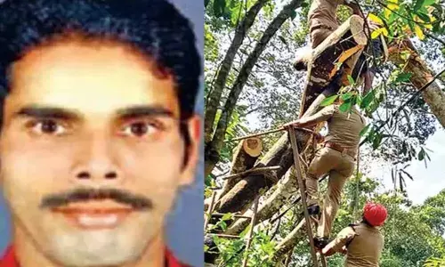 മരക്കൊമ്പ് മുറിച്ചുമാറ്റുന്നതിനിടെ മരം രണ്ടായിപ്പിളര്‍ന്നു; മരവും ശരീരവുമായി കൂട്ടിക്കെട്ടിയ കയര്‍ മുറുകി തൊഴിലാളി മരിച്ചു