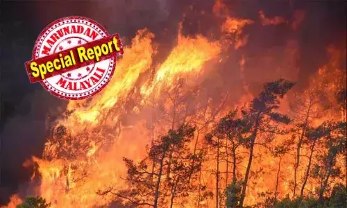 തുര്‍ക്കിയില്‍ കാട്ടുതീ പടരുന്നു, രണ്ട് അഗ്‌നിരക്ഷാസേനാംഗങ്ങള്‍ കൂടി മരിച്ചു; മരണം 17 ആയി ഉയര്‍ന്നു; ഗ്രീസില്‍ അമ്പതിടങ്ങളില്‍ അഗ്‌നിബാധ; നാശം വിതയ്ക്കുന്ന കാട്ടുതീ തെക്കന്‍ യൂറോപ്പില്‍ ആളിപ്പടരുമ്പോള്‍