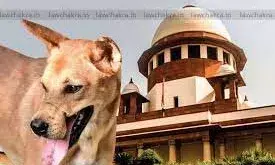 ഡല്‍ഹിയില്‍ തെരുവുനായ ആക്രമണം വര്‍ധിക്കുന്നു; സ്വമേധയാ കേസെടുത്ത് സുപ്രീംകോടതി