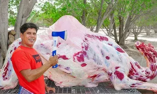 യൂട്യൂബ് വരുമാനം മാത്രം ആശ്രയിച്ച് മുന്നോട്ട് പോവാൻ സാധിക്കില്ല; പുതിയ ബിസിനസ് ആരംഭിക്കുകയാണ്; യൂട്യൂബ് ചാനല്‍ നിര്‍ത്തുന്നതായി പ്രഖ്യാപിച്ച് ഫിറോസ് ചുട്ടിപ്പാറ