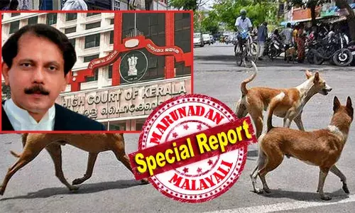 കണ്ണൂരില്‍ പട്ടികടിയേറ്റ കുട്ടി പ്രതിരോധമരുന്ന് കുത്തിവെച്ചിട്ടും മരിച്ചു; ദയാവധമൊന്നും പരിഹാരമല്ല; ഗുരുതരമായ രോഗം ബാധിച്ച നായക്കളെ മാത്രമാണ് ദയാവധത്തിന് ഇരയാക്കാനാകുക; മൃഗസ്നേഹികളെ തെരുവുനായ്ക്കളുടെ സംരക്ഷണം ഏല്‍പ്പിക്കാം... നോക്കിക്കോളു; മനുഷ്യനാണ് മൃഗങ്ങളെക്കാള്‍ അവകാശം; ഇനി ആരെയെങ്കിലും പട്ടി കടിച്ചാല്‍ തദ്ദേശ സ്ഥാപന സെക്രട്ടറിക്കെതിരെ കേസ് വന്നേക്കും; നിലപാട് കടുപ്പിച്ച് ഹൈക്കോടതി