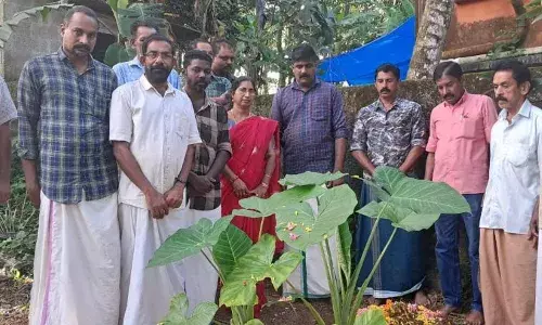 സ്വാതന്ത്ര്യ സമരസേനാനി പി.ജി സുകുമാരന്‍ നായരെ അനുസ്മരിച്ചു
