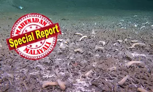 ഭൂമിയിലെ ഏറ്റവും ഉയരം കൂടിയ കൊടുമുടിയായ എവറസ്റ്റിനേക്കാള്‍ കൂടുതല്‍ ആഴത്തിലെ കിടങ്ങുകള്‍; സമുദ്രത്തിന്റെ ഏറ്റവും ആഴമേറിയ ഭാഗത്ത് വെള്ളത്തിനടിയില്‍ ജീവിക്കുന്നത് ആയിരക്കണക്കിന് ജീവികള്‍