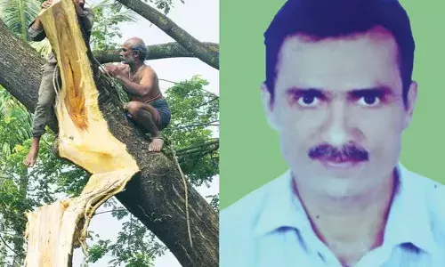 മുറിക്കുന്നതിനിടെ മരക്കൊമ്പ് ഒടിഞ്ഞു തൂങ്ങി; സുരക്ഷയ്ക്ക് ദേഹത്തുകെട്ടിയ കയര്‍ കുരുങ്ങി തൊഴിലാളി മരിച്ചു