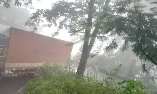 വയനാട് ചുരത്തിലെ ആറാം വളവില്‍ ലോറി കുടുങ്ങി; ചുരത്തില്‍ വന്‍ ഗതാഗത തടസ്സം